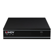 38519 LINDY