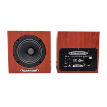 5C Active Super Sound Cube Classic Coppia