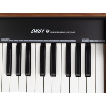 DK61