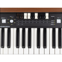 DK61