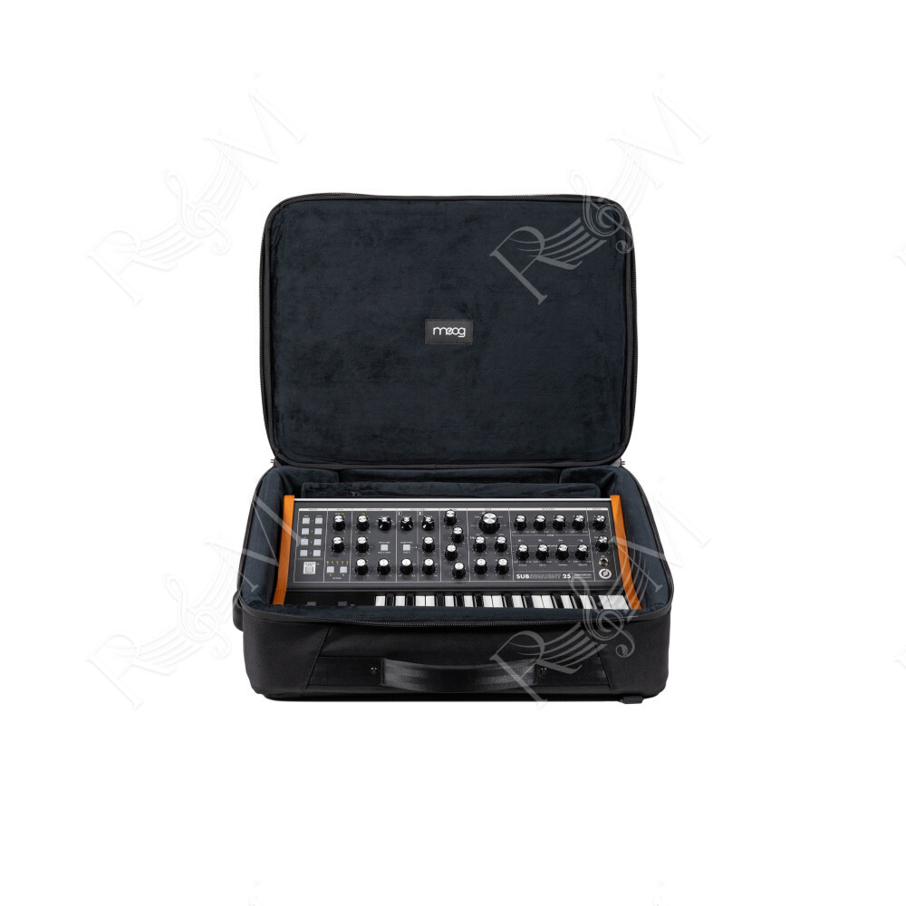 Subsequent 25 SR Case