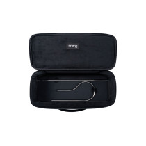 Theremin Etherwave SR Case