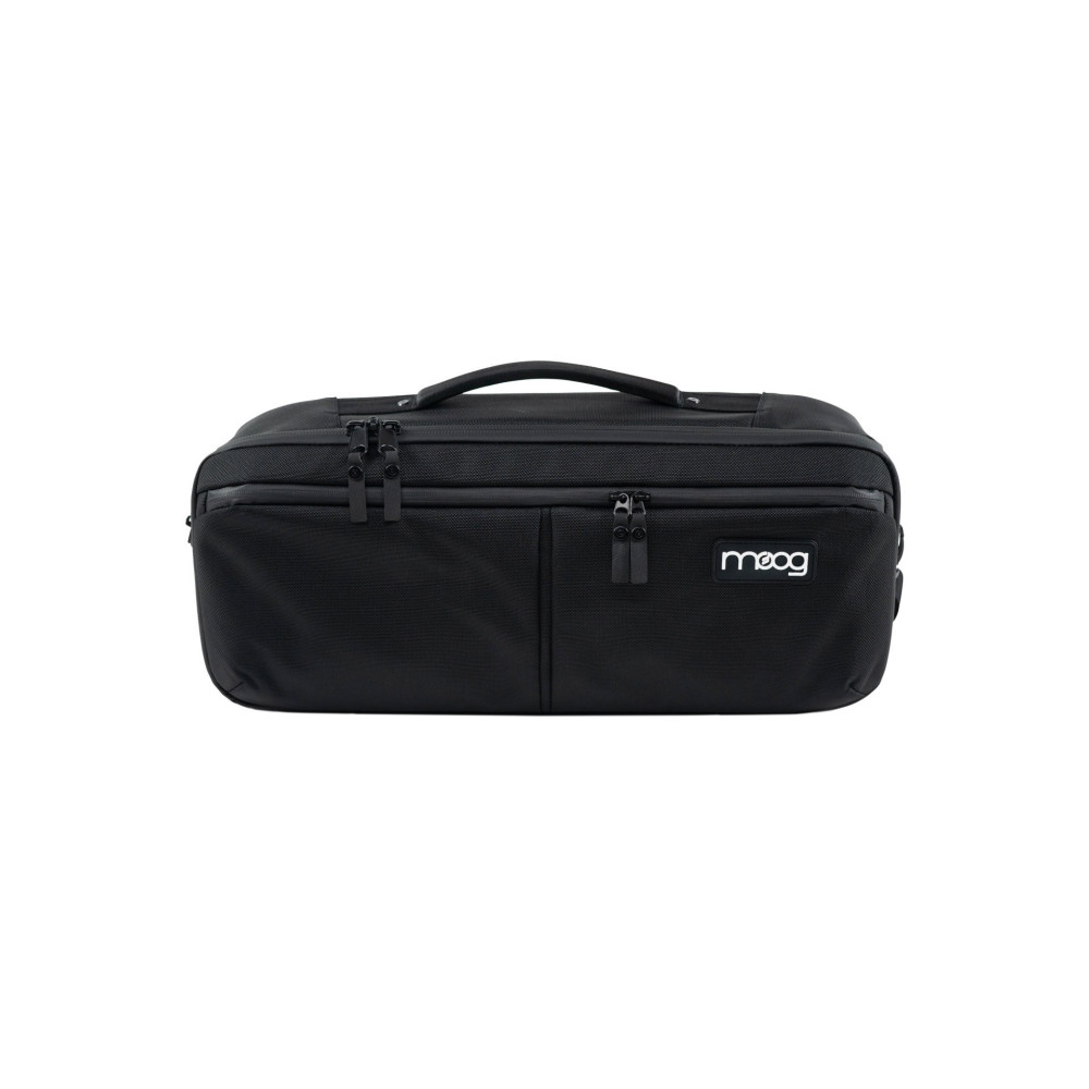 Theremin Etherwave SR Case