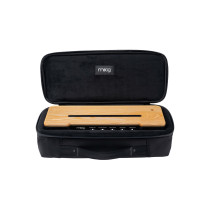 Theremin Etherwave SR Case