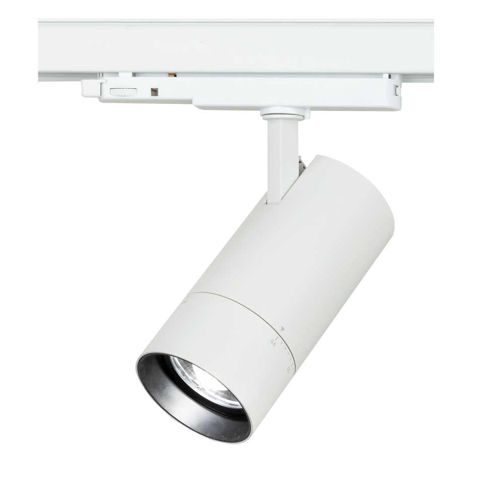 Newark 30 W CCT Zoom 20°-60°