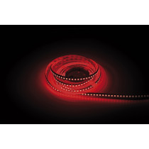 Havana Ribbon 5050 - 120 - RGB