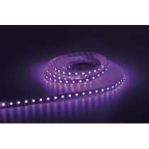 Havana Ribbon 5050 - 60 - RGBW