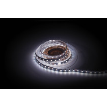 Havana Ribbon 5050 - 60 - RGBW