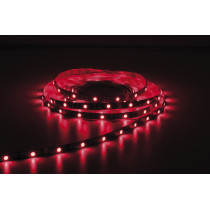 Havana Ribbon 5050 - 30 - RGB