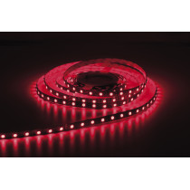 Havana Ribbon 5050 - 60 - RGB