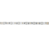 Havana Ribbon RGB + WW 24 V