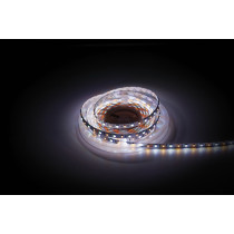 Havana Ribbon RGB + WW 24 V