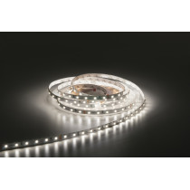 Havana Ribbon 60-24 V