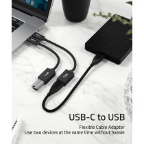 Cavo Adattatore USB C a USB (2 pz)