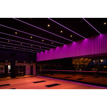 Havana Neon 2811 - 60 - RGB Pixel