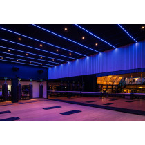 Havana Neon 2811 - 60 - RGB Pixel