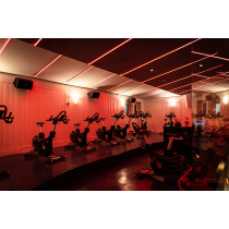 Havana Neon 2811 - 60 - RGB Pixel