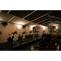 Havana Neon 2811 - 60 - RGB Pixel