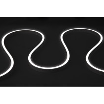 Havana Neon 2835 - 120 - CCT