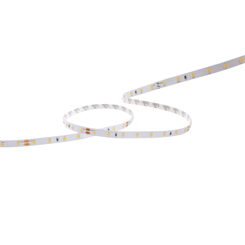 Cartago Ribbon 2835 - 64 - CCT