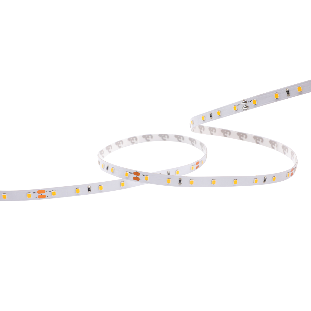 Cartago Ribbon 2835 - 64 - CCT