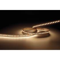 Cartago Dropper 2835 - 160 - CCT