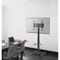 Flatscreen Trolley 7
