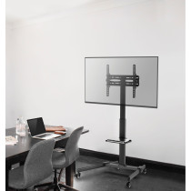Flatscreen Trolley 7