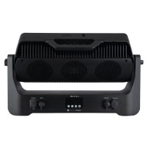 Raccoon S420/4