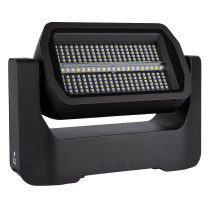 Raccoon S250/4 Junior