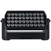 Raccoon W40/4