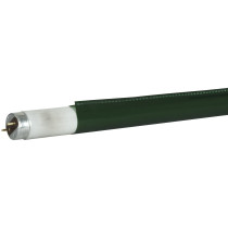 C-Tube T8
