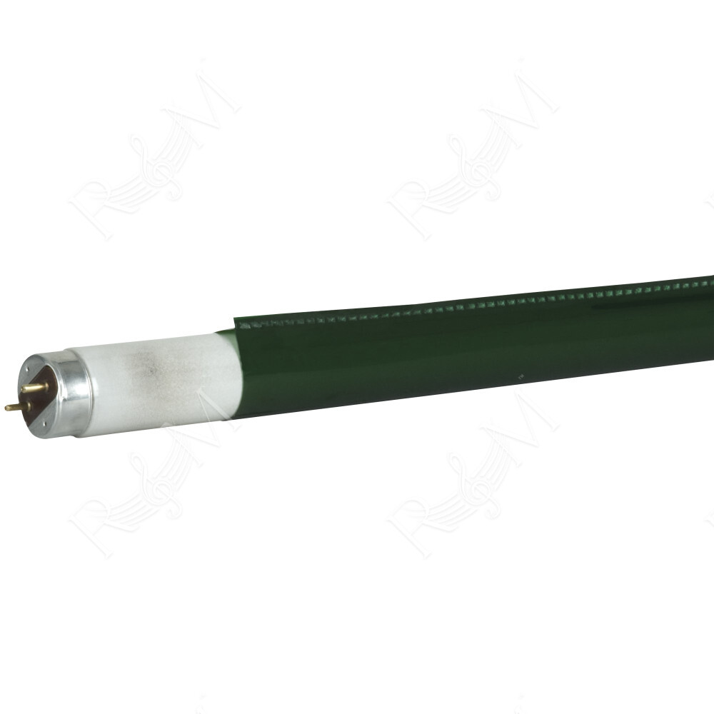 C-Tube T8