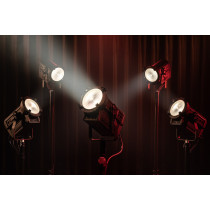 Performer Fresnel 2200 DDT