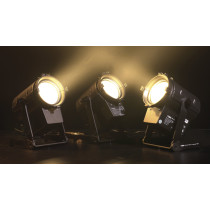 Performer Fresnel Mini DDT Fresnel teatrale compatto a LED 30 W Warm White DDT