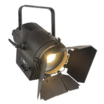Performer 2500 Fresnel