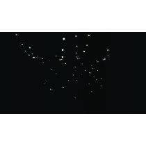 Festoonlight Q4 Booster