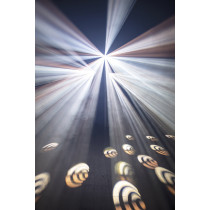 Dataflower LED Effetto luce