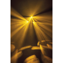 Dataflower LED Effetto luce