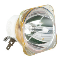 Ushio NSL400L