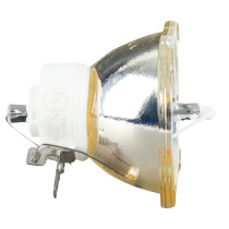 Ushio NSL400L