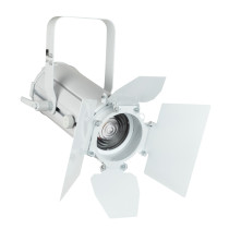 Display Fresnel 20 SW Fresnel LED 20 W Switchable White - Bianca