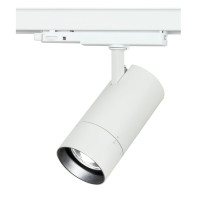 Newark Luce da binario 30 W CCT