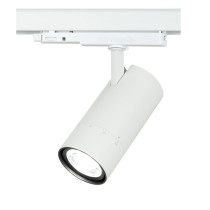 Newark Luce da binario 30 W CCT