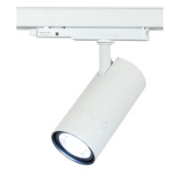 Newark Luce da binario 30 W CCT