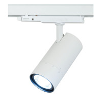 Newark Luce da binario 30 W CCT