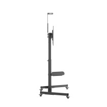 Flatscreen Trolley 9