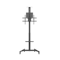 Flatscreen Trolley 9
