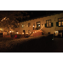 Festoon Light E27