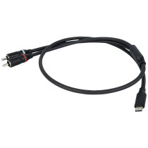 FL110 - Da USB-C a 2 RCA - maschio